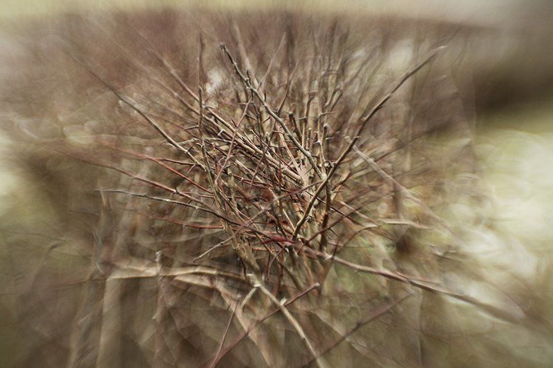 Портрет эгоистаphoto preview