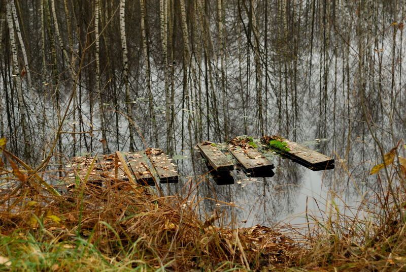 отражение.трава.деревья.вода. Былое...photo preview