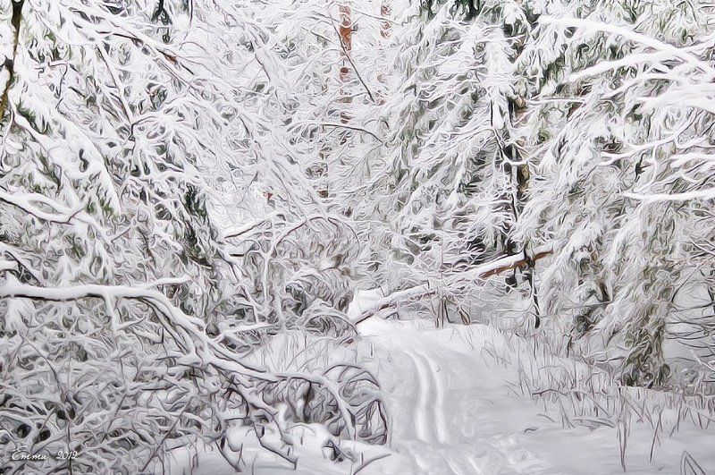 зима, природа, снег, зарисовка Белым-бело.. фото превью