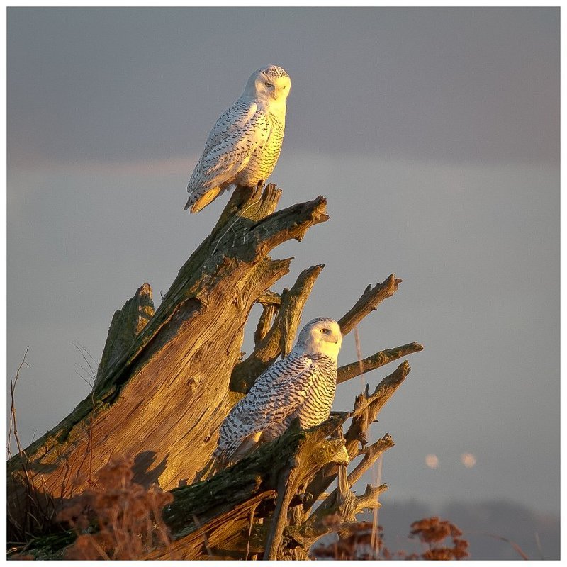 На закатеphoto preview