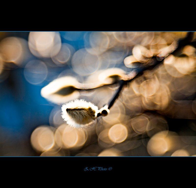 out, of, the, blue Out of the bluephoto preview