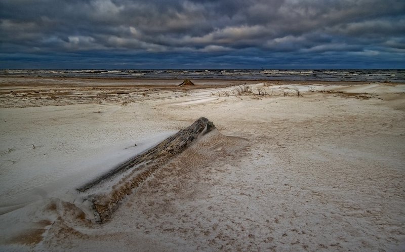 истории бревнаphoto preview