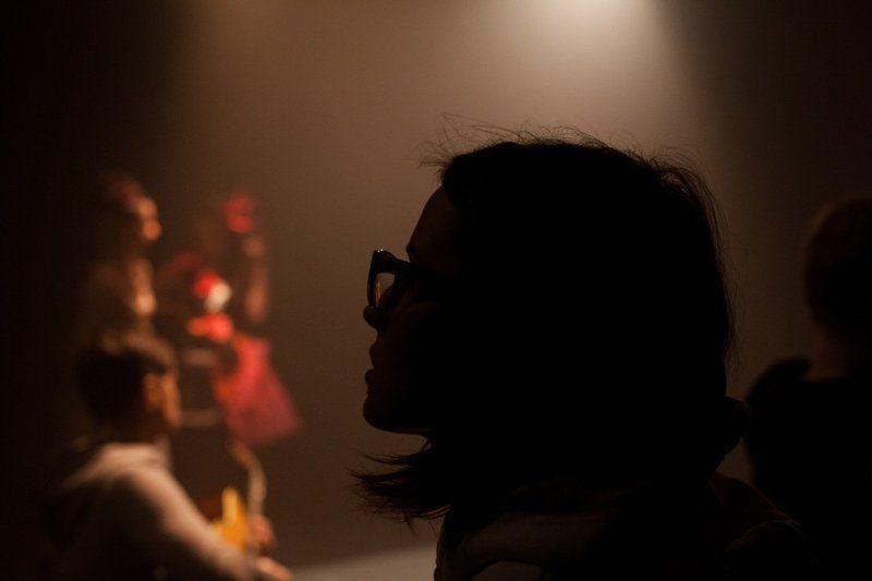 zebromashka ...photo preview