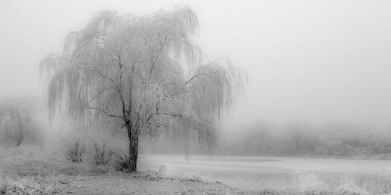 Градации серого...photo preview