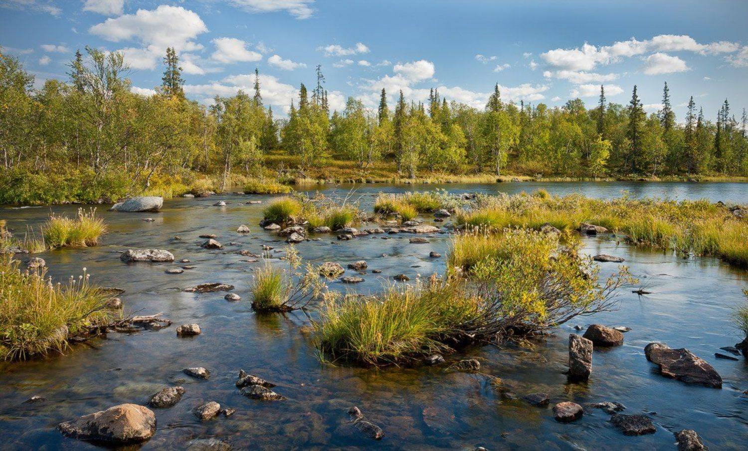 Погожий день. Автор: Nikolai (locus) кольский, полуостров, река, лето, Nikolai (locus)