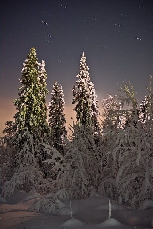 кольский, полуостров, зима, ночь Подсвеченные луной фото превью