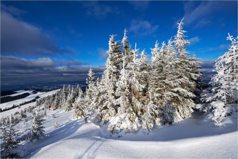 на, кукуле... photo preview