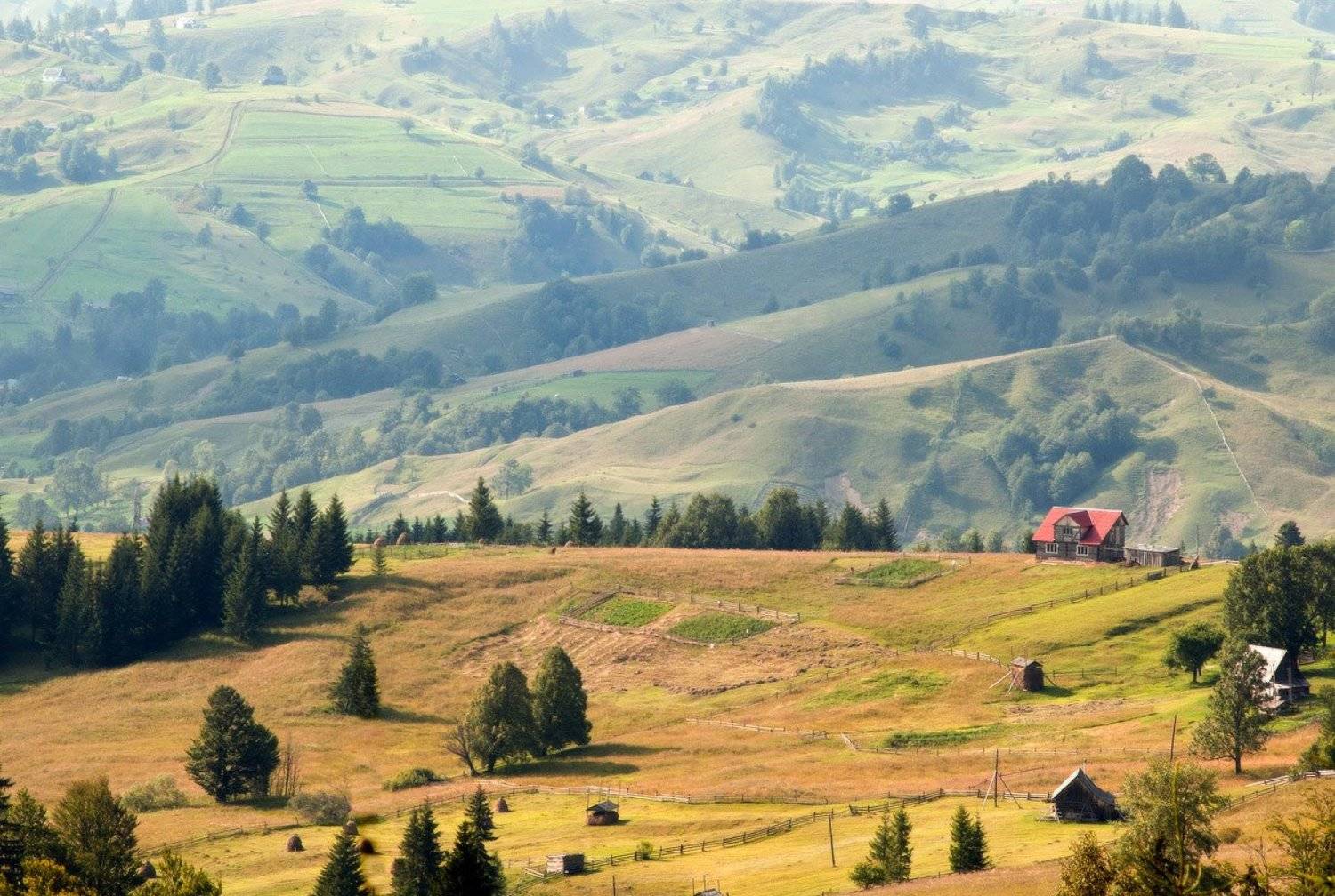 ***. Автор: Piligrim карпаты, лазещина, пейзаж, природа, Piligrim