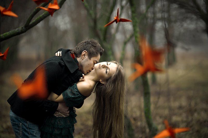 журвликиphoto preview