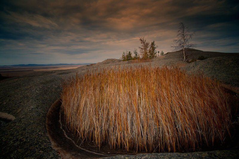 684646654photo preview