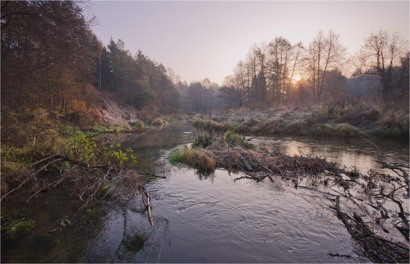 рассвет, река, осень, лес Холодный рассветphoto preview