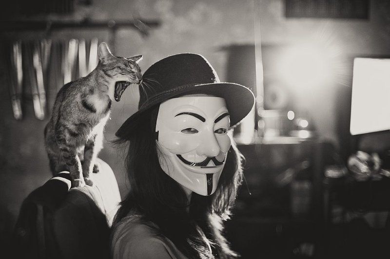 vendetta, anonymus, mask ***photo preview