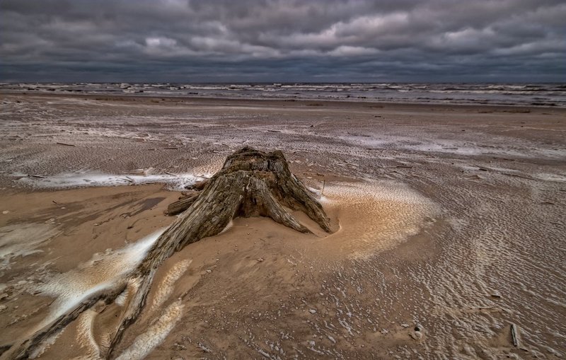 ползущий к истокамphoto preview