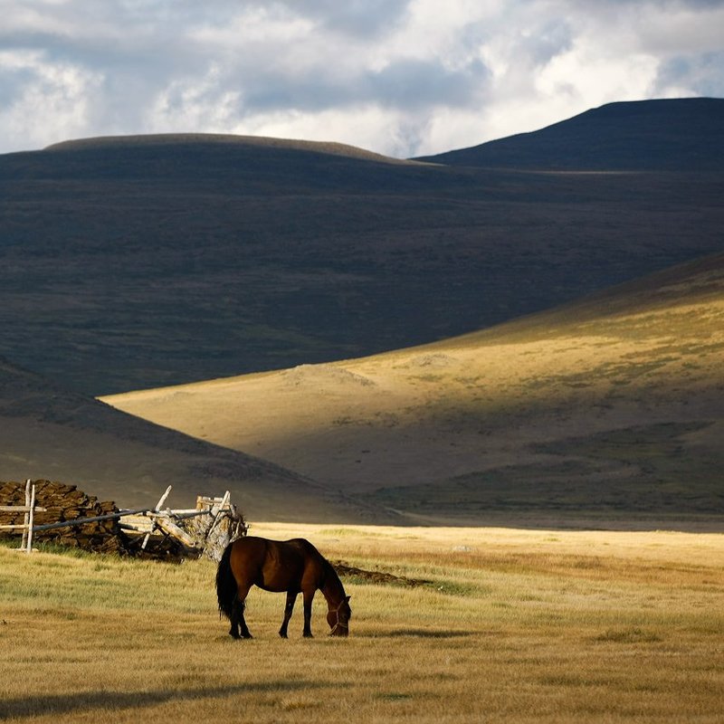 Горный Алтай.photo preview