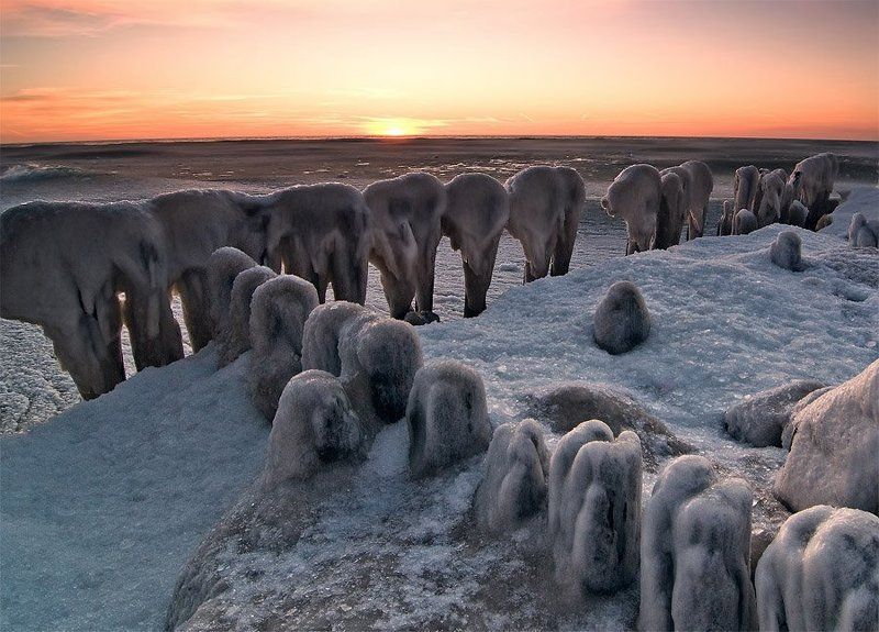 Пародонтозphoto preview