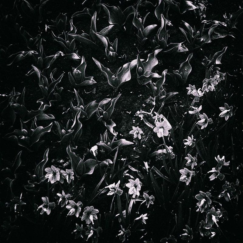 Сражениеphoto preview