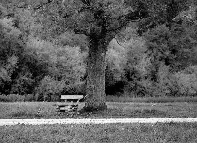 поговорим...photo preview