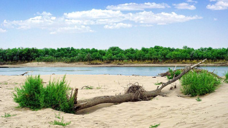 cырдарья, река, пейзаж, syrdarya Сырдарья / Syrdaryaphoto preview