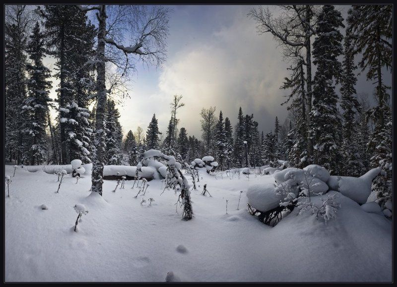 шория, шерегеш, зима, снег, вечер, лес, ярославский, виталий Успеть до заходаphoto preview