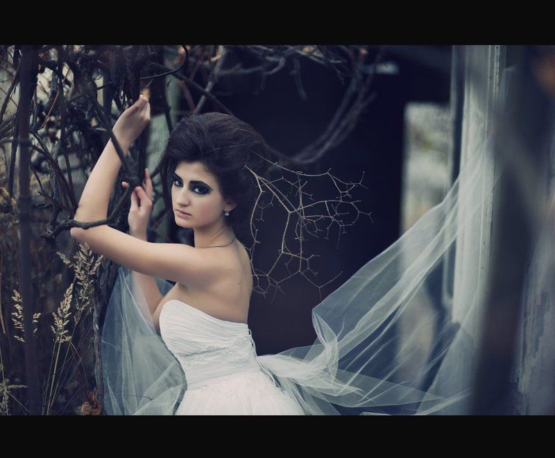 взгляд взглядphoto preview