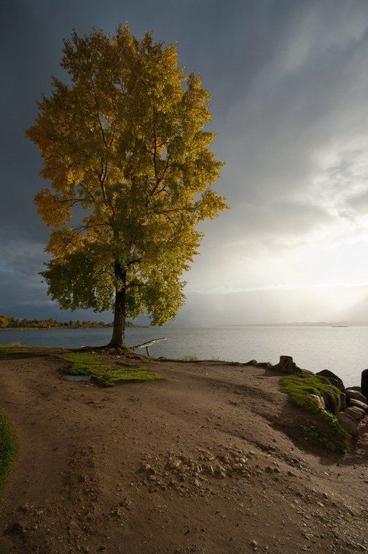 кириллов Настроение осени...photo preview