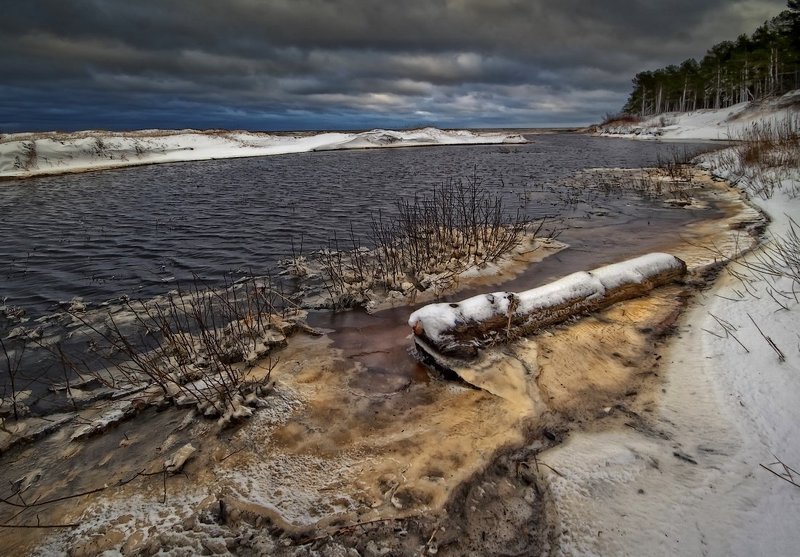 истории бревнаphoto preview