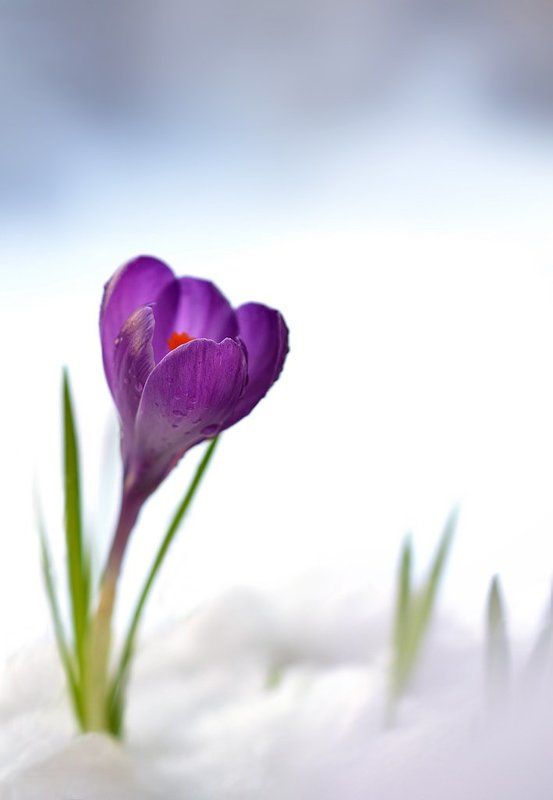 Слишком рано!photo preview