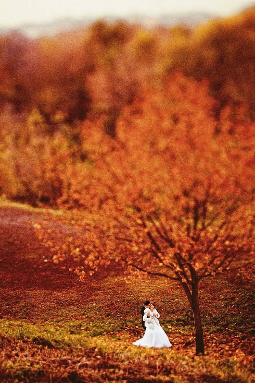 Автор: Ёж Мария , Ёж Мария