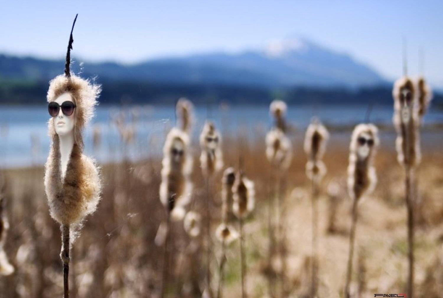 .... Автор: Pavel Janzen , Pavel Janzen