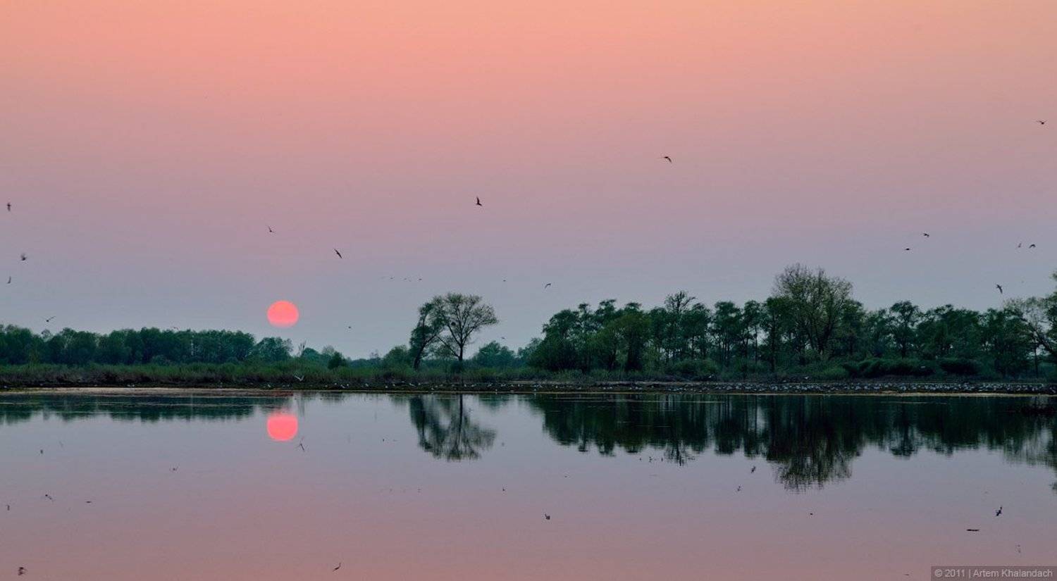 , Артем Халандач