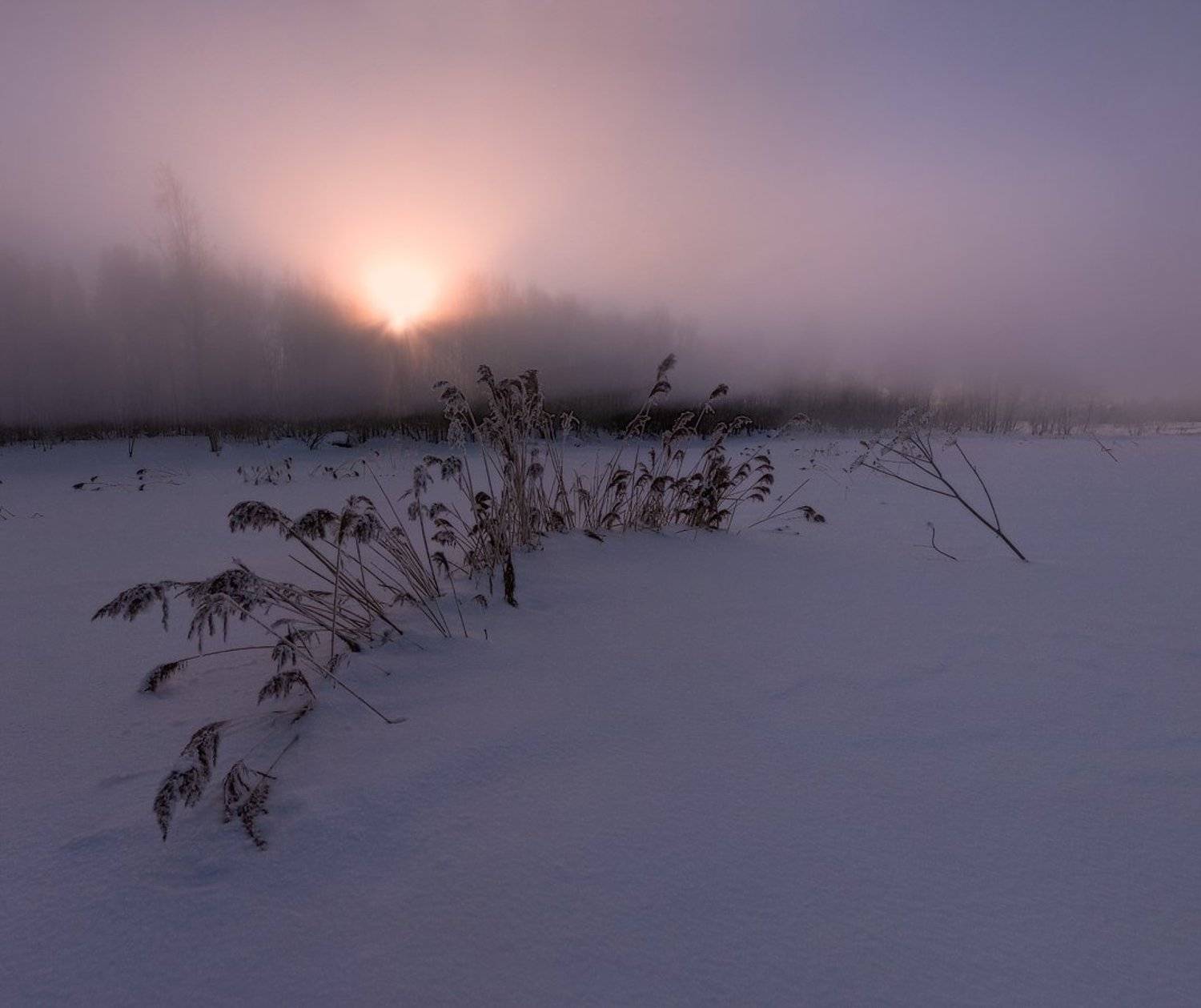 ~53~. Автор: zapravka2 рассвет, туман, утро, восход, zapravka2