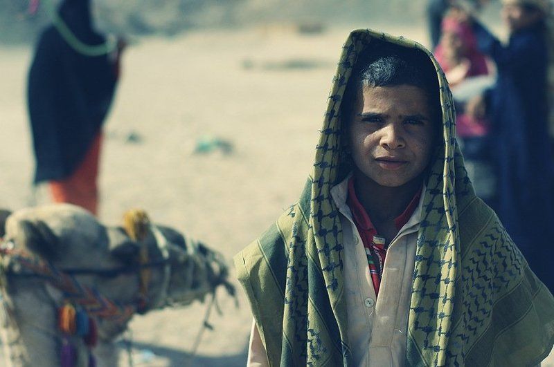 Египетскоеphoto preview