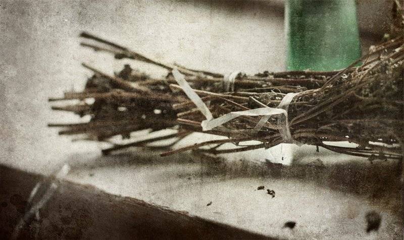 ***. Автор: Шульга Екатерина , Шульга Екатерина