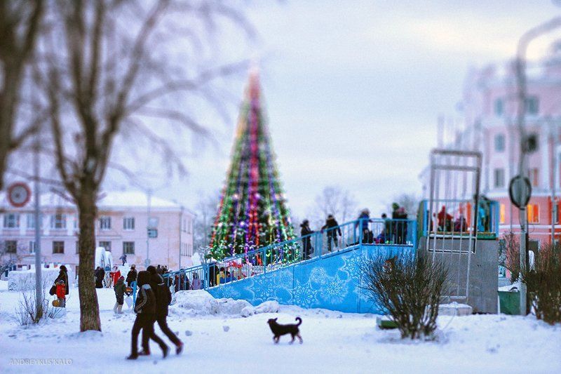 Happy NYphoto preview