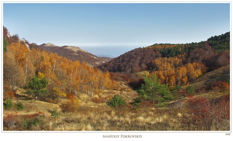 крым, демерджи, горы, осень, перевал, Берёзово-буковое разнообразие переживания осени фото превью