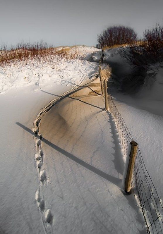 заяц...photo preview