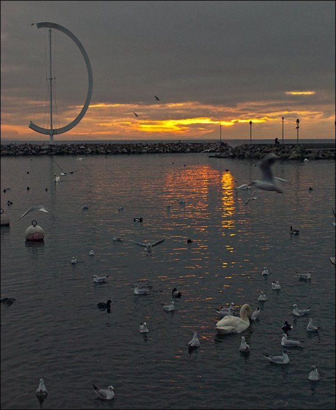 swiss, lausanne, швейцария, лозанна, женевское озеро [sunset in lausanne]photo preview