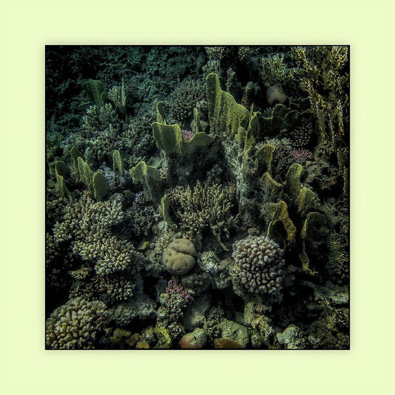 Фактуры подводного мираphoto preview