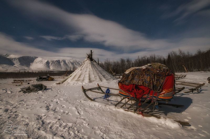 ненцы, ямал, полярный урал, стойбище Лунная ночь в ненецком стойбищеphoto preview