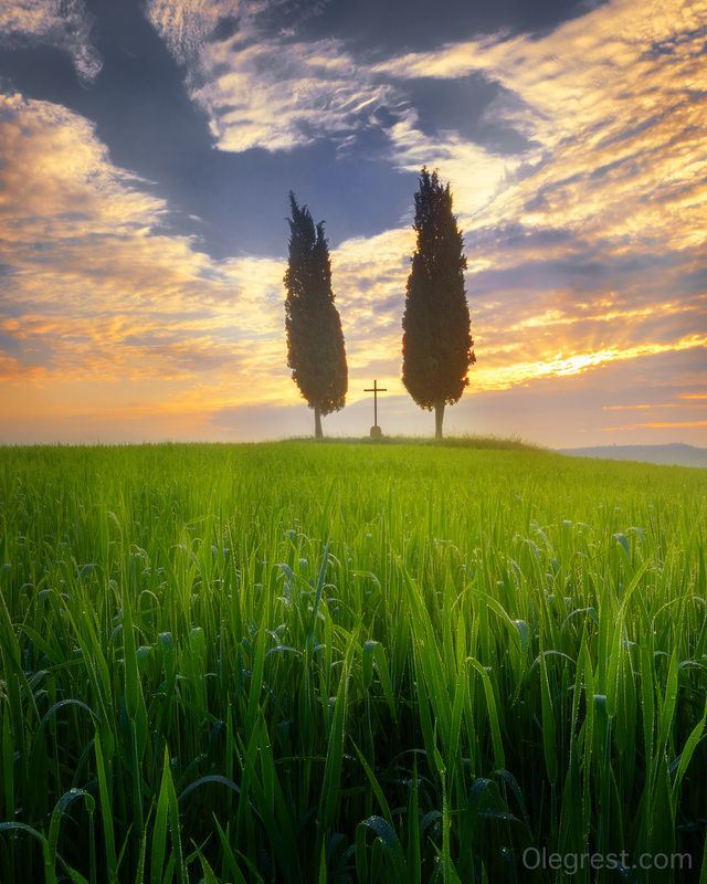 Утро в Тосканеphoto preview