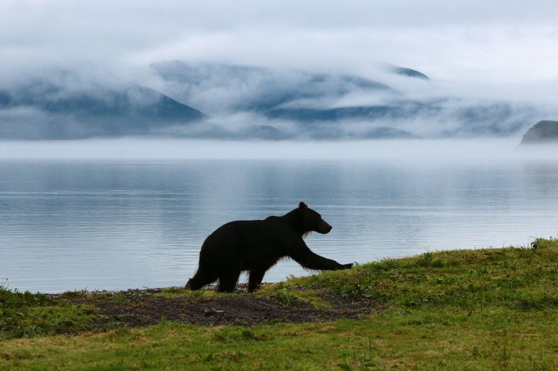 Туман на Курильском озереphoto preview