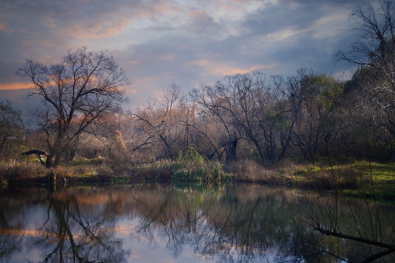 весна,утро,берег,озеро Берег надежды ...photo preview