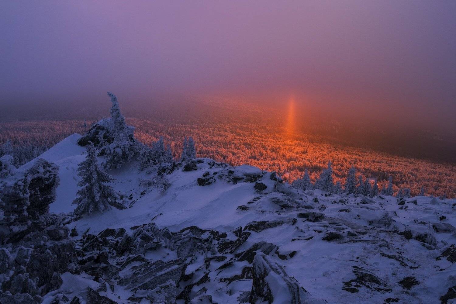 , Андрей Шарапов