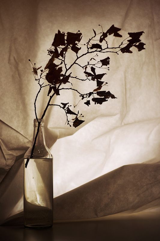 Ржавчинаphoto preview