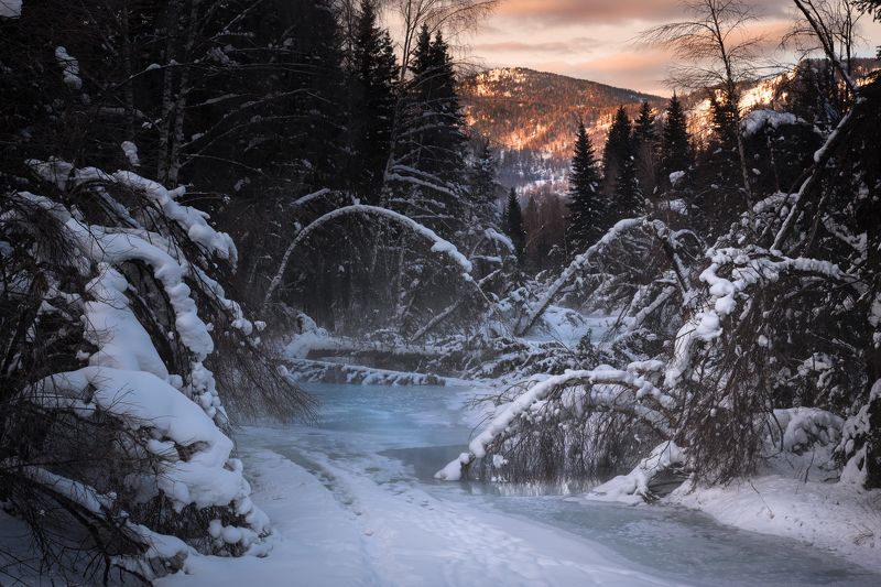 #алтай #река #республикаалтай #зима #горы #зимавгорах #устькокса #сибирь #природаалтая За поворотом, во глубине лесного лога...photo preview