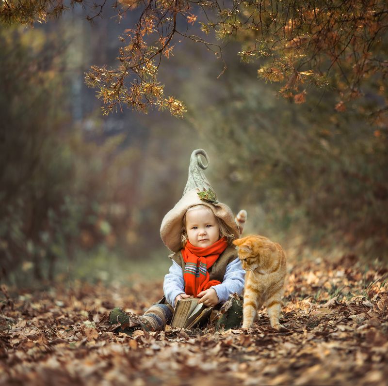 Лесной другphoto preview