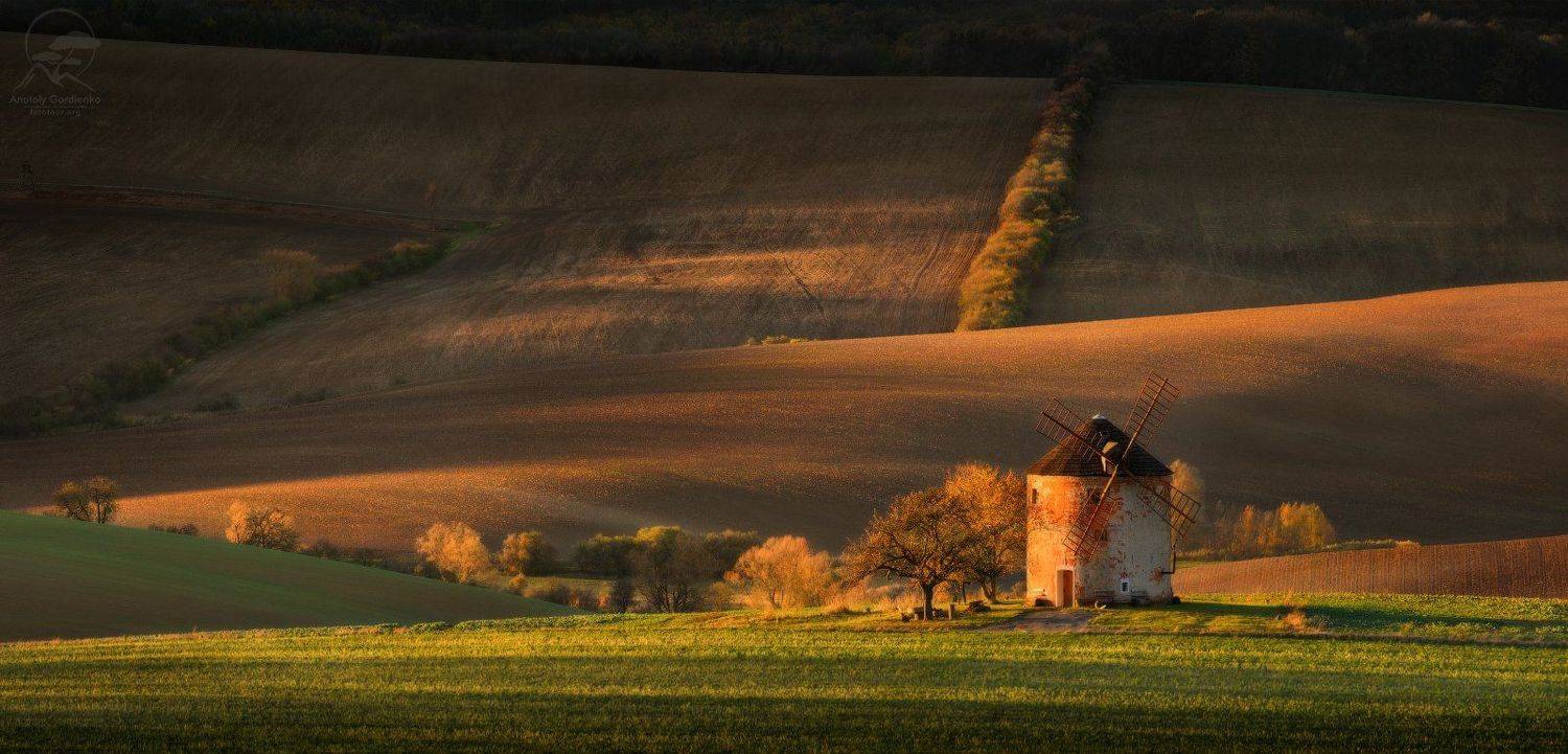 Starý mlýn. Автор: Анатолий Гордиенко пейзаж, природа, поле, моравия, чехия, мельница, Анатолий Гордиенко