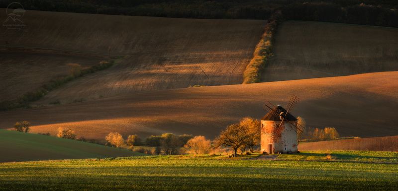 пейзаж, природа, поле, моравия, чехия, мельница Starý mlýn фото превью
