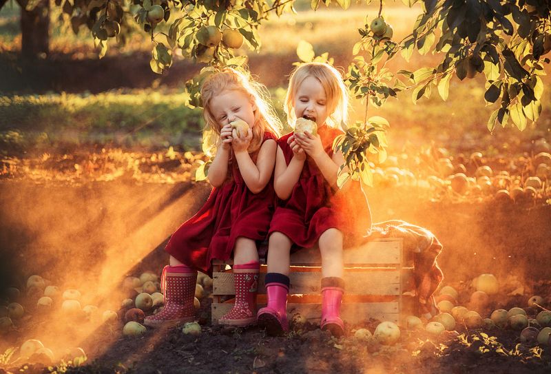 яблоки, ящик, яблоневые сады, сады, девочки, лето, урожай photo preview