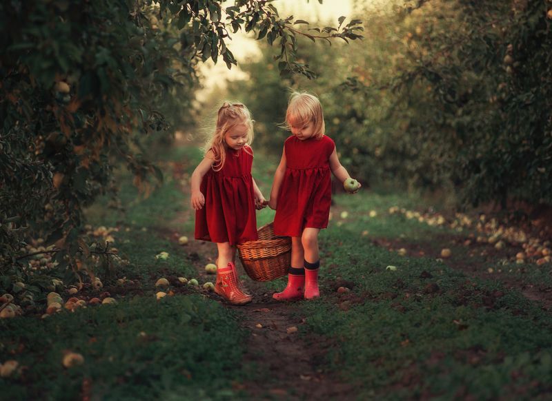 девочки, лето, яблоки, урожай, сады, яблоневые сады, корзинка photo preview